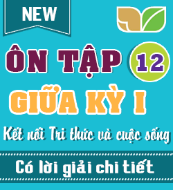 Ôn tập Giữa học kỳ I (KNTT_12)